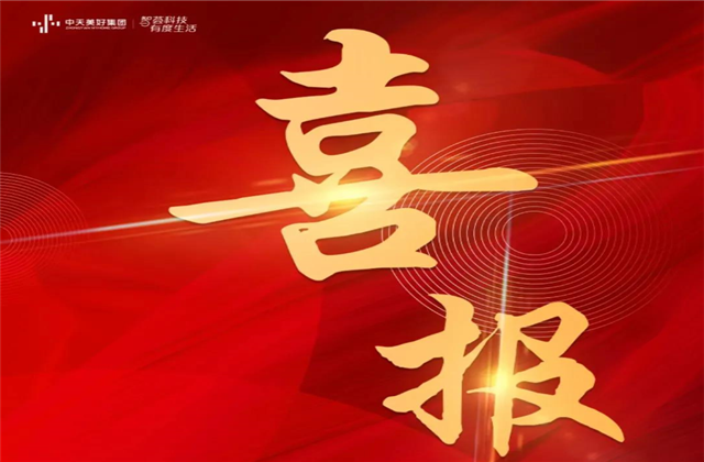 美狮贵宾会美好集团蝉联“2021长三角城市群房地产公司品牌价值TOP10”